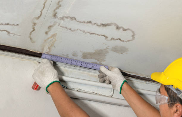 Reliable Water Extraction contractor in Stoughton, MA by Water Damage Irwin